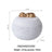 Pet Memorial Urn for Ashes