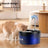 Cat Water Fountain with LED Light, Low Water Alert and Quiet Pump, Large Capacity