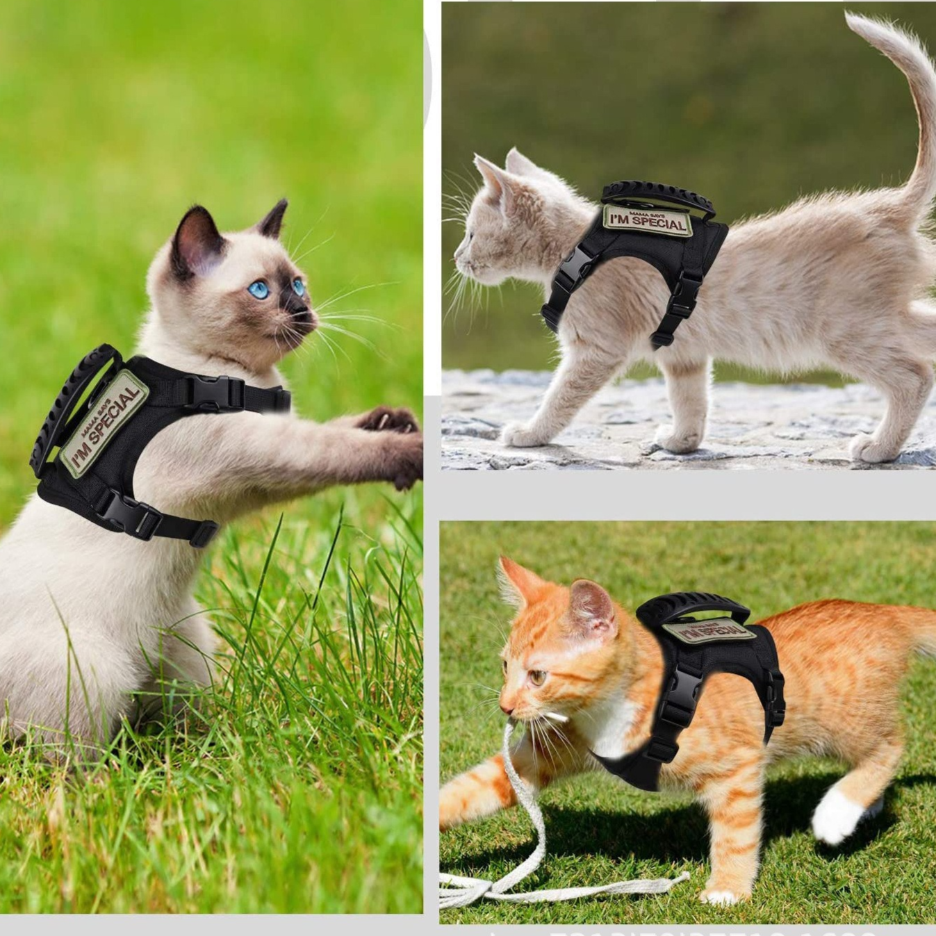 Camouflage escape resistant vest harness on a cat outdoors