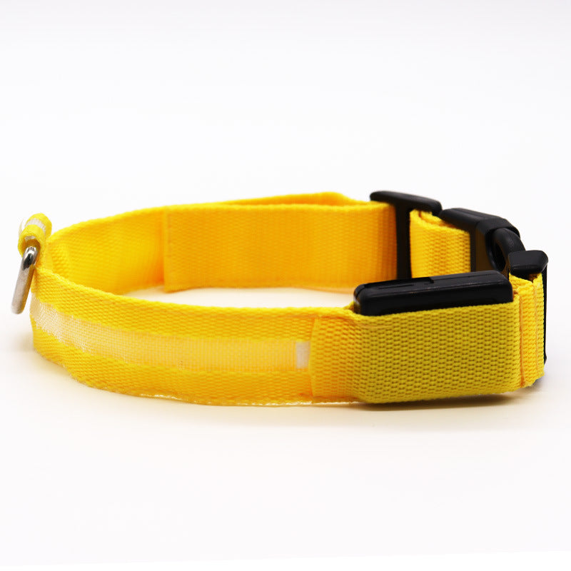 Light up pet collar with breakaway clasp glowing at night, product image 40