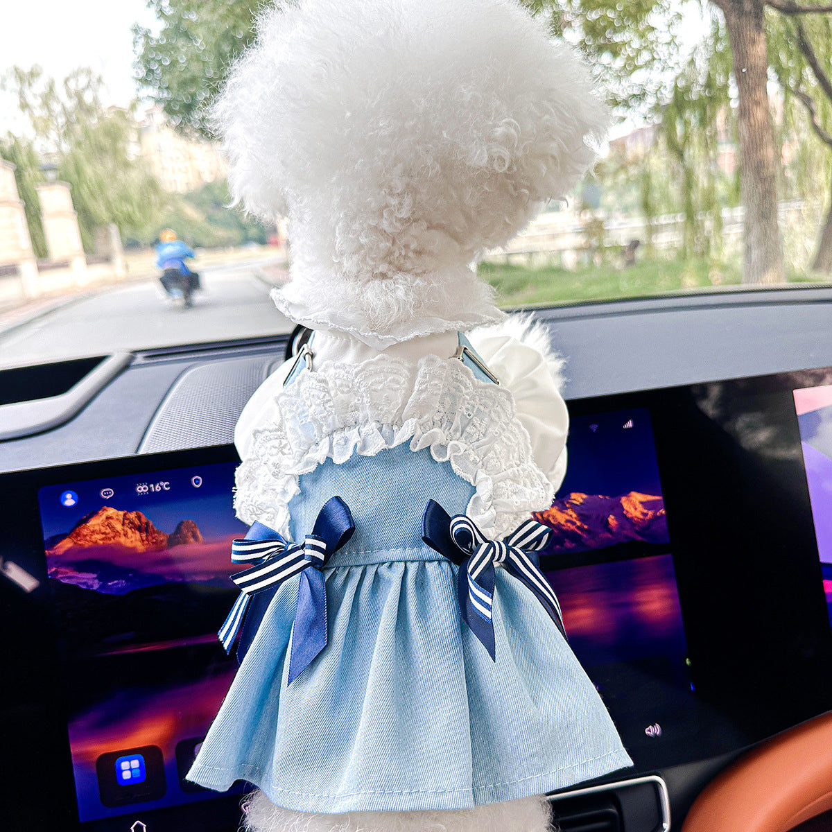 Cute denim skirt for small dogs and cats, available in 13 styles, image 43