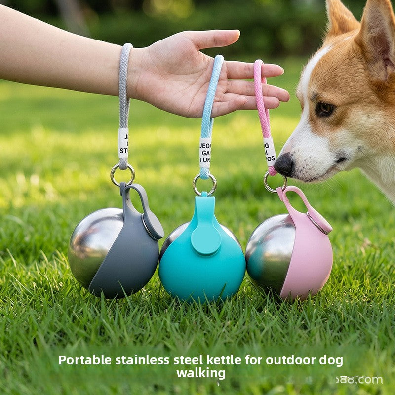 Foldable Stainless Steel Pet Travel Bowl with Hanging Hook