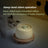 Automatic circulating filter water fountain for cats