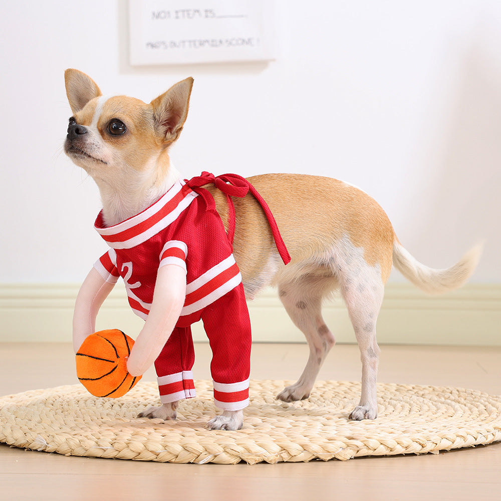 Small dog dressed in a priest Halloween costume