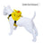 Animal backpack harness for small dogs and cats, ideal for everyday use