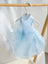 Layered satin and organza tutu dresses in six colours