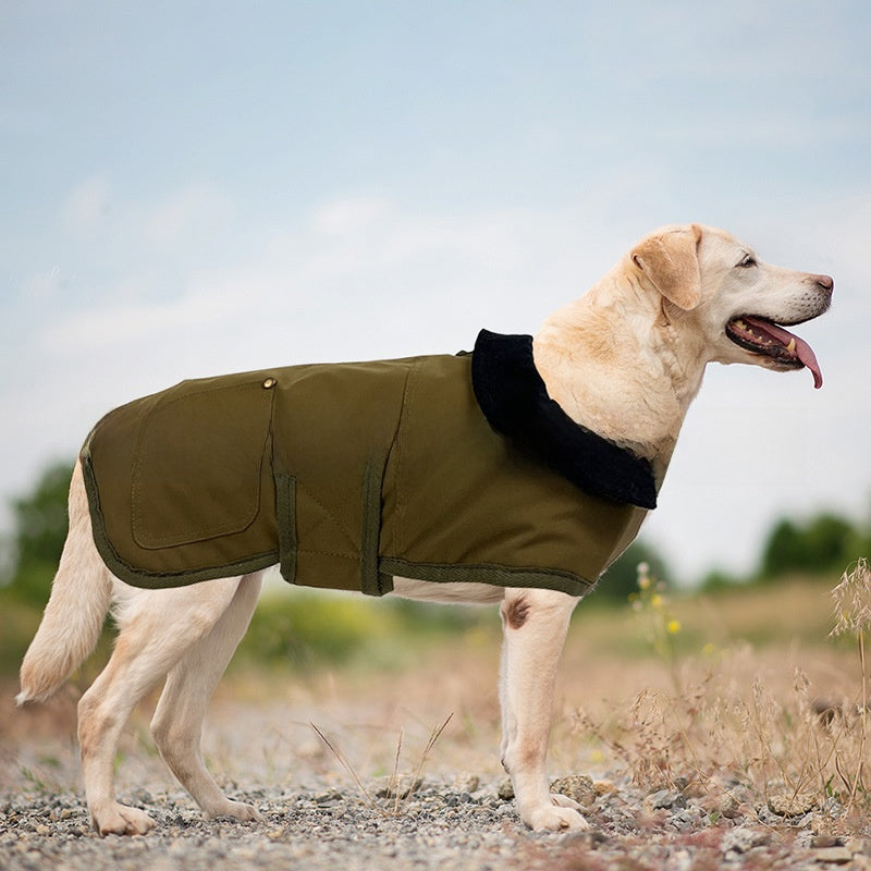 Quilted canvas dog coat, available in 5 styles, sizes Small to Medium, image 3