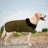 Quilted canvas dog coat, available in 5 styles, sizes Small to Medium, image 3