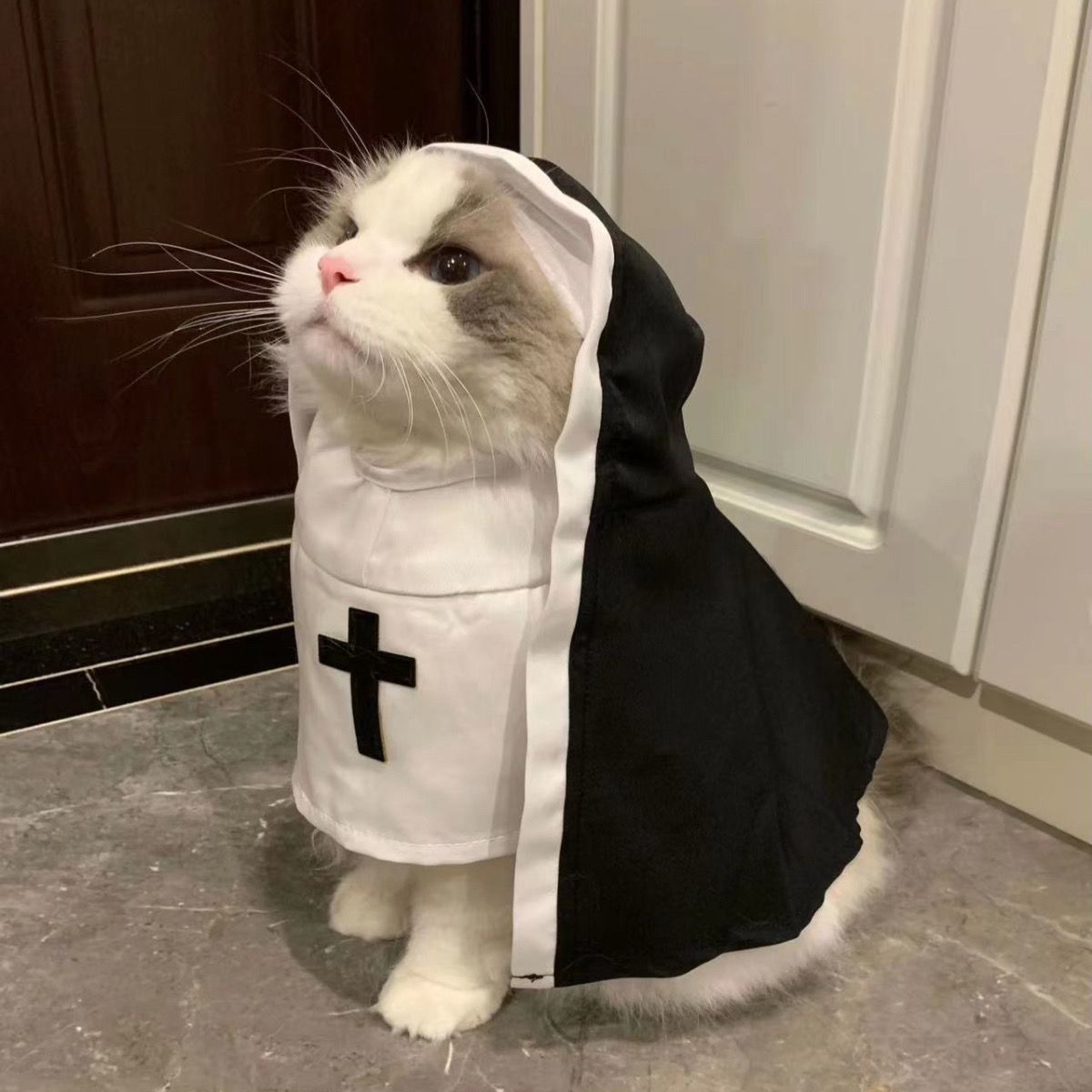 Gothic nun cloak Halloween costume for cats and dogs