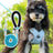 Reflective vest harness with lead option, main product photo