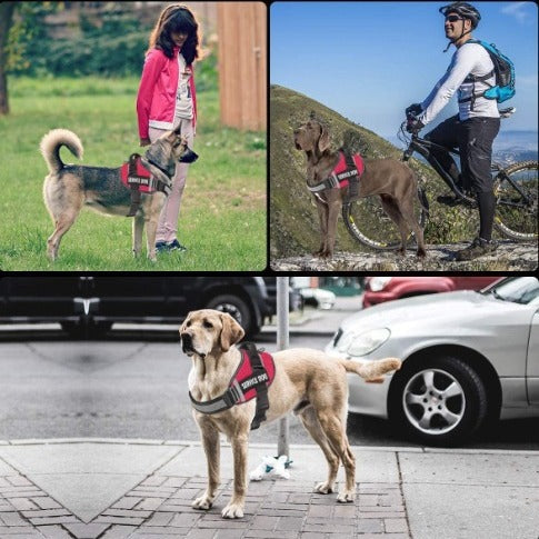 Reflective breathable nylon dog vest harness, product image 2