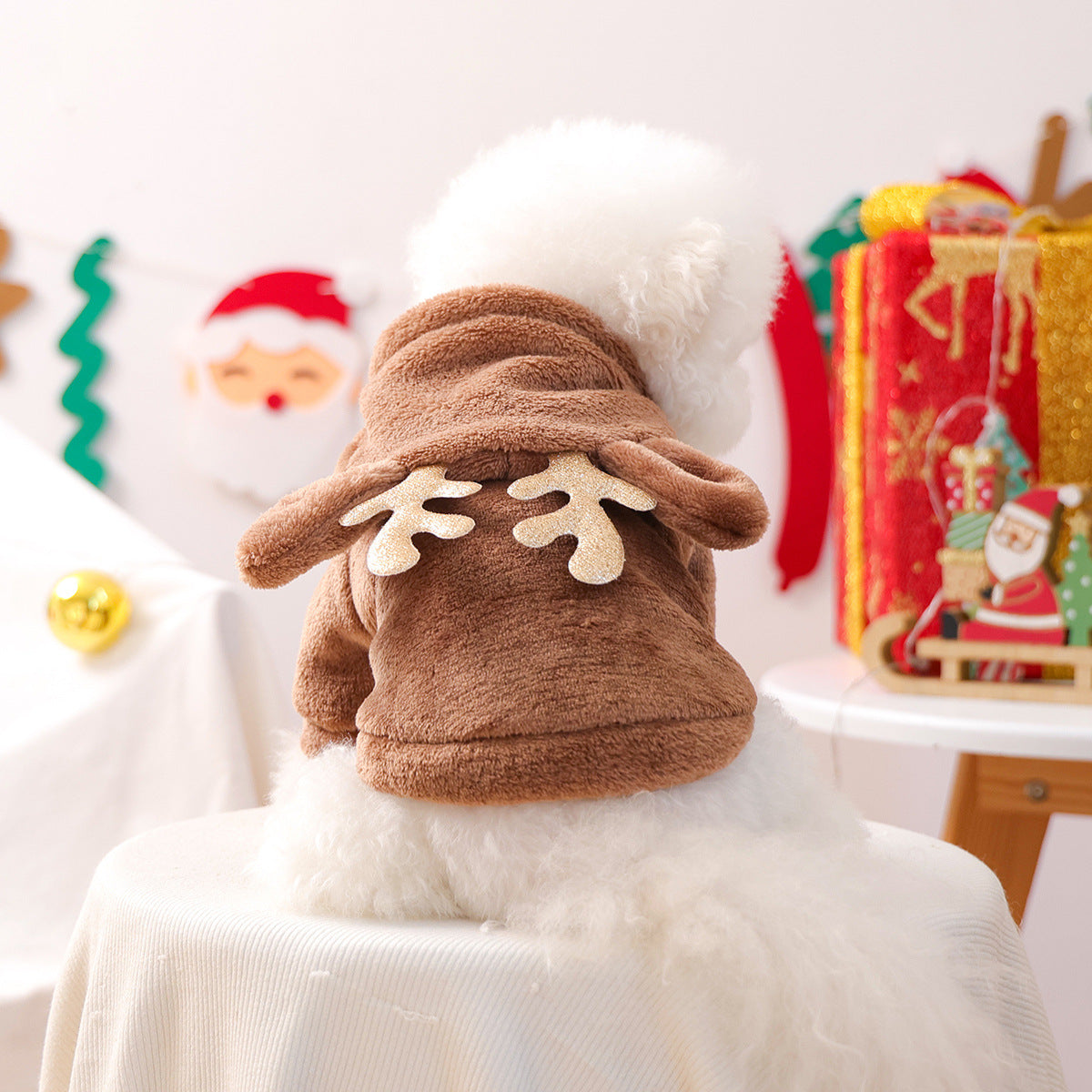 Cat in a cosy reindeer flannel costume with golden antlers