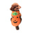 Orange pumpkin pet costume with embroidered smiling face