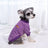 Velvet hoodie for dogs and cats, available in 9 colours, image 50