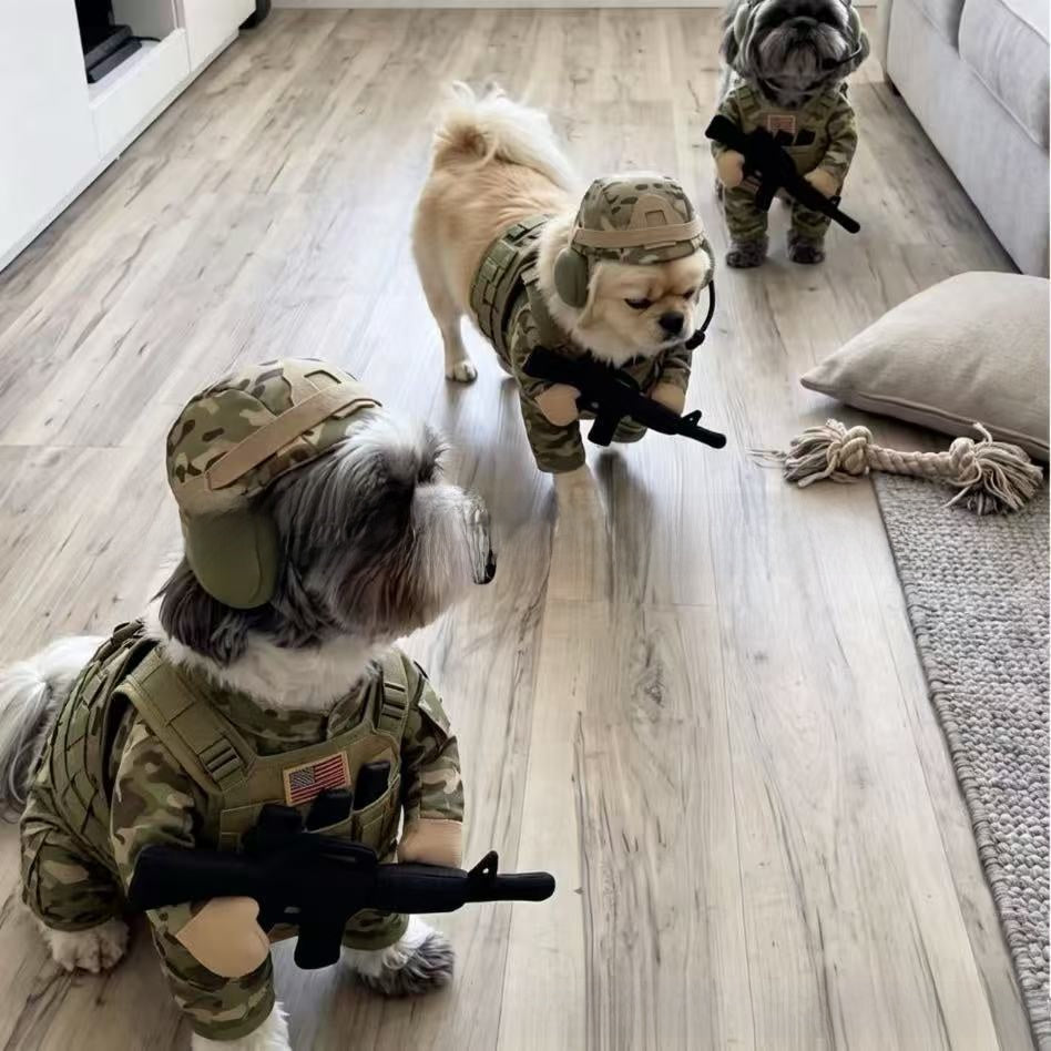 Cartoon soldier dog costume set with hat and matching accessories