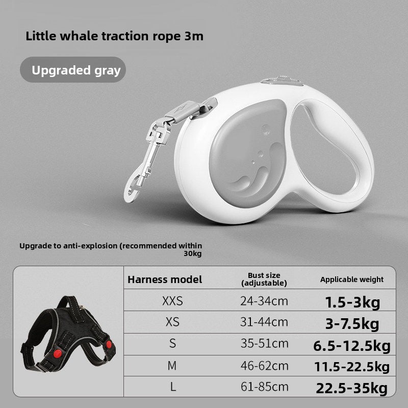 Retractable lead with matching harness for dogs, available from Pet Royale UK