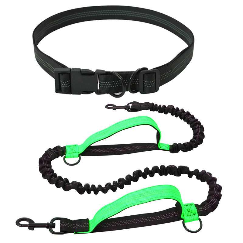 Hands-free running lead with waist belt, close-up detail view
