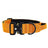 Tactical nylon dog collar with cobra buckle in Army Green, top view