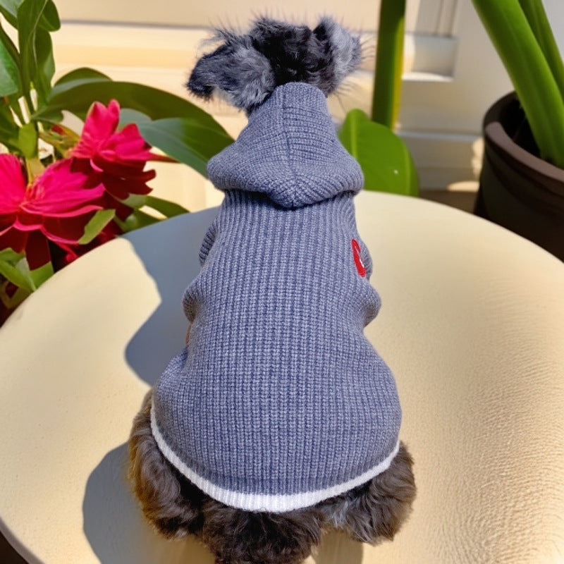 Thick knitted wool jumper for dogs and cats in Royal Blue, in a home setting