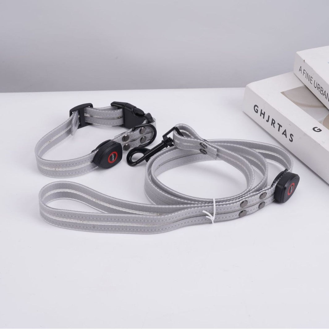 USB rechargeable LED dog collar in PVC, front view