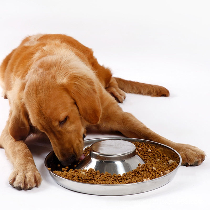 Stainless Steel Pet Bowl