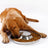 Stainless Steel Pet Bowl