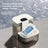 Pet  Pour-Out Type Water Dispenser