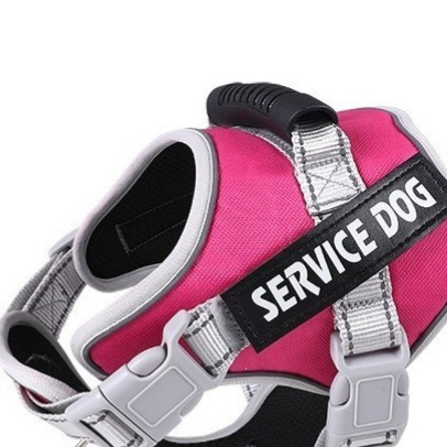 Reflective breathable mesh dog harness, available from Pet Royale UK
