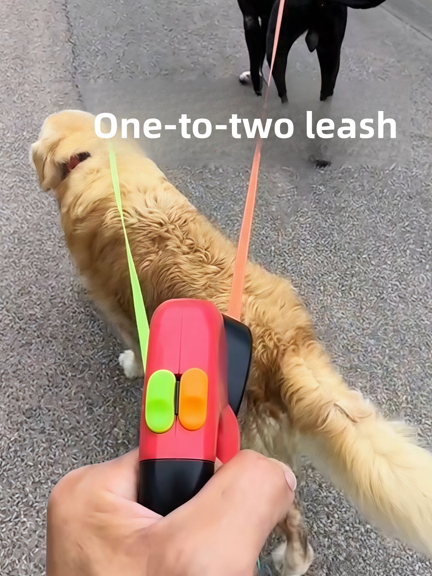 Green automatic retractable dog lead for small and medium dogs