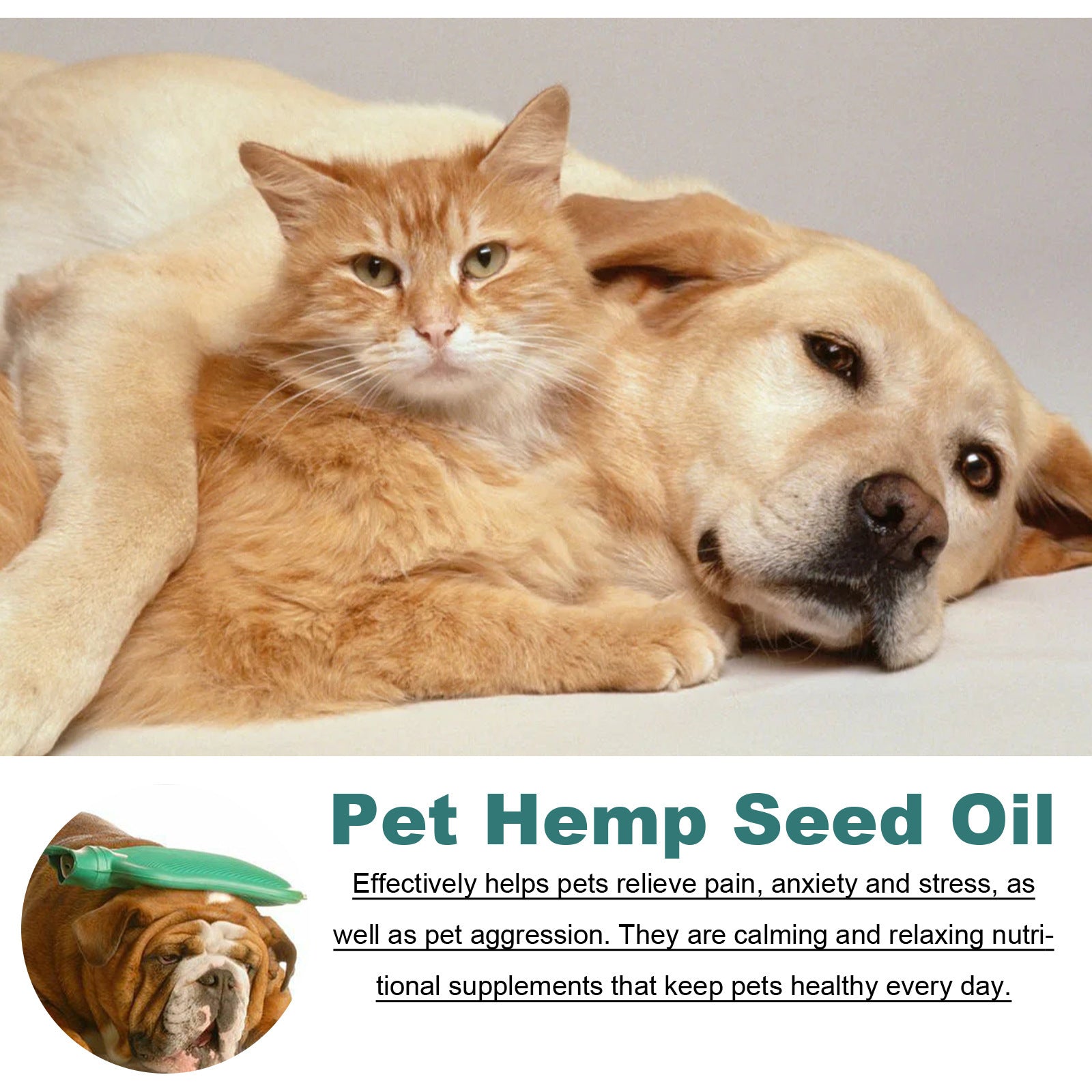 Plant-Based Pet Coat Oil, Nourishing Grooming and Massage Oil