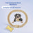 Rhinestone chain pet collar with bone pendant, main product photo