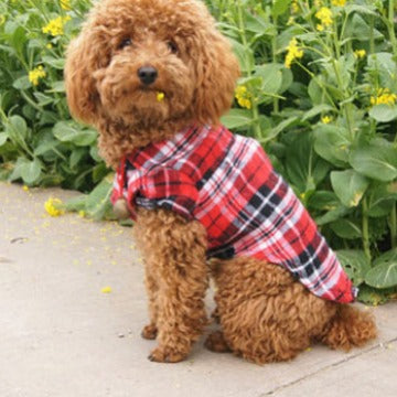 Plaid button shirt for dogs, available in 3 colours, image 3