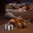 3.2L Stainless Steel Pet Water Dispenser with Smart Induction and Replaceable Filter