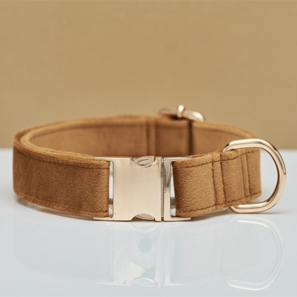 Soft velvet dog collar with metal buckle, main product photo