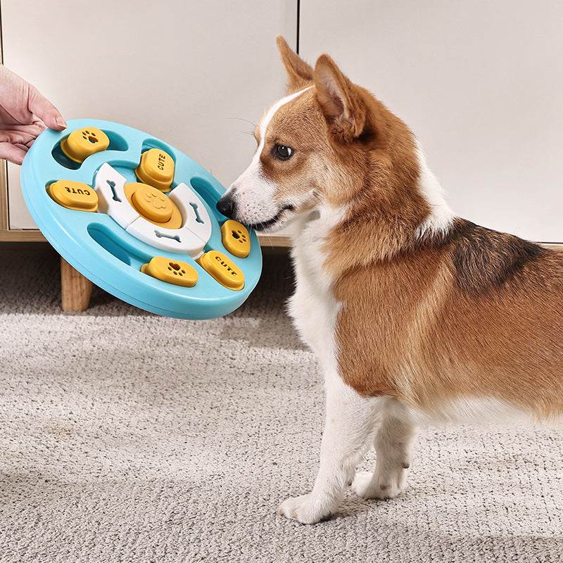 Pet Slow Eating Bowl