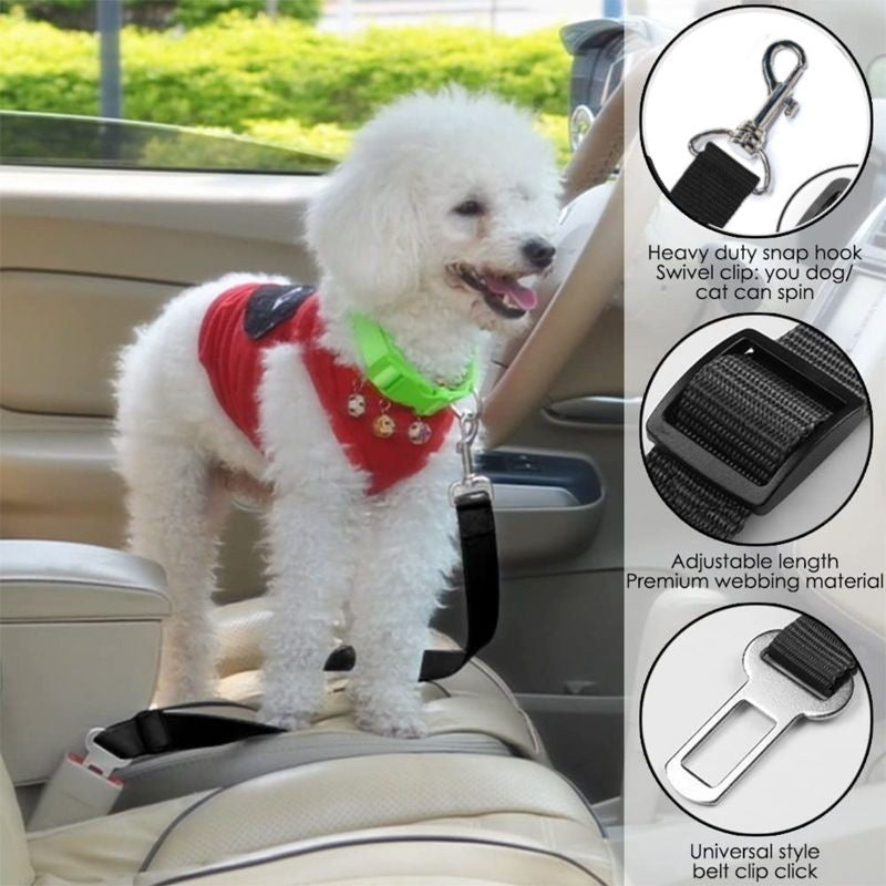 Adjustable dog car seat belt lead, close-up detail view