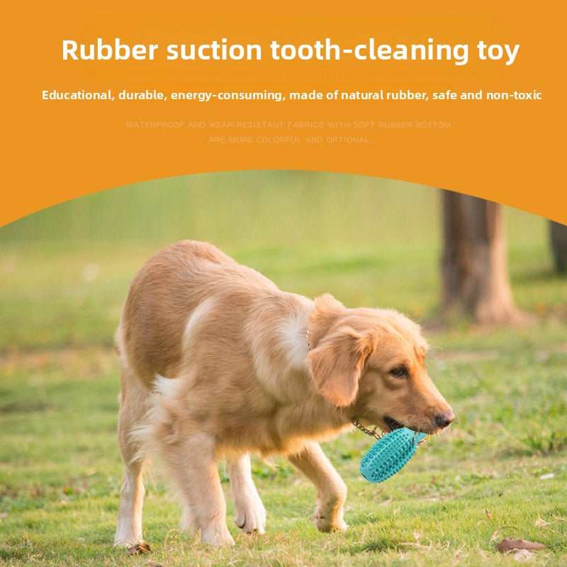 Natural rubber dog toothbrush chew toy with claw shaped base, view 2