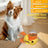 Clownfish Pet Food Dispenser Toy