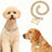 Rhinestone chain pet collar with bone pendant, 9 sizes available