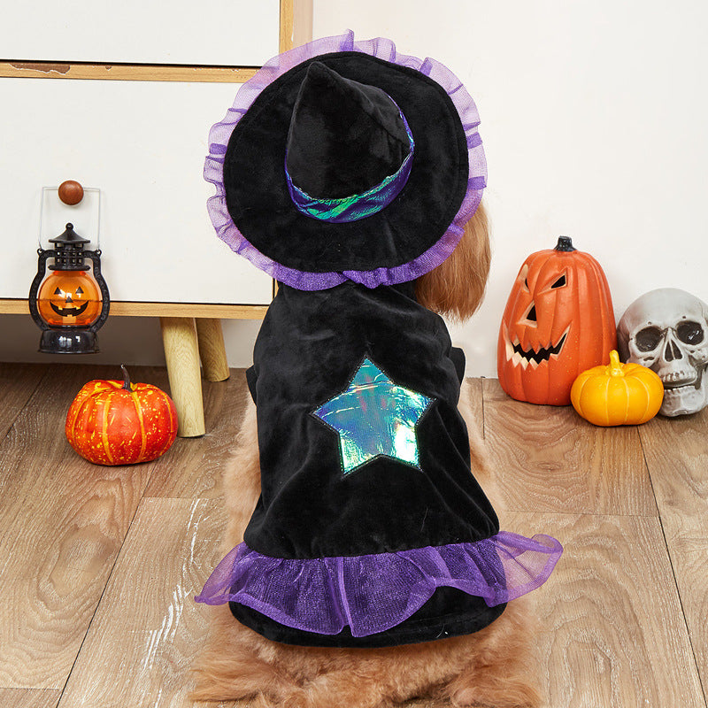 Purple wizard Halloween costume for dogs and cats in Purple, close-up detail