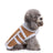 Windproof hooded dog jacket with zip front in Red Style A, in a home setting