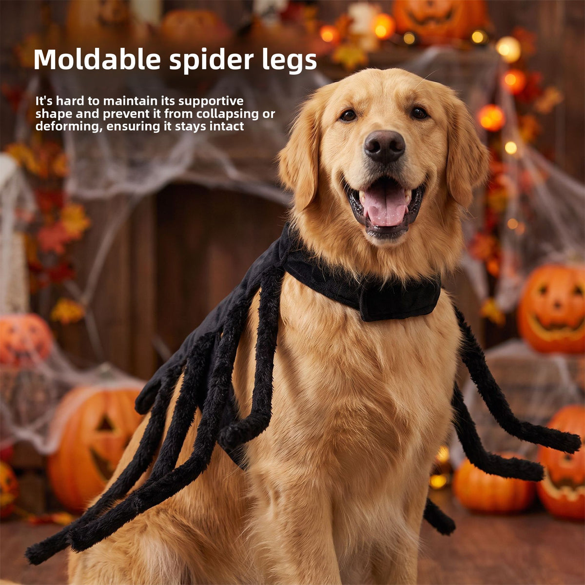 Spider Halloween costume harness for cats and dogs, product image 4