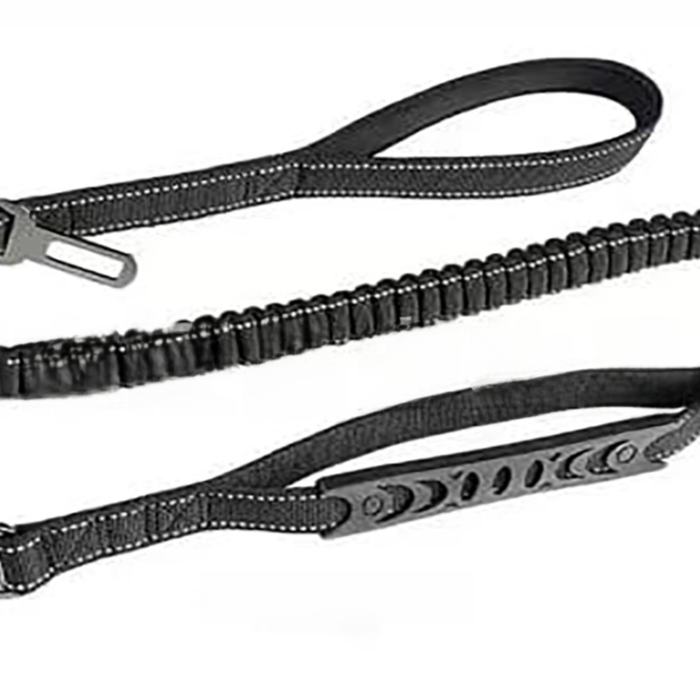 Elastic bungee dog lead in 7 colour options