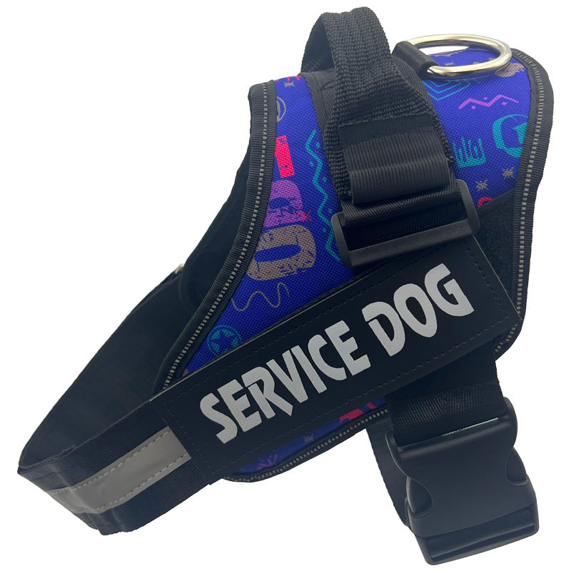 Reflective nylon dog harness with lead in blue, product image 87