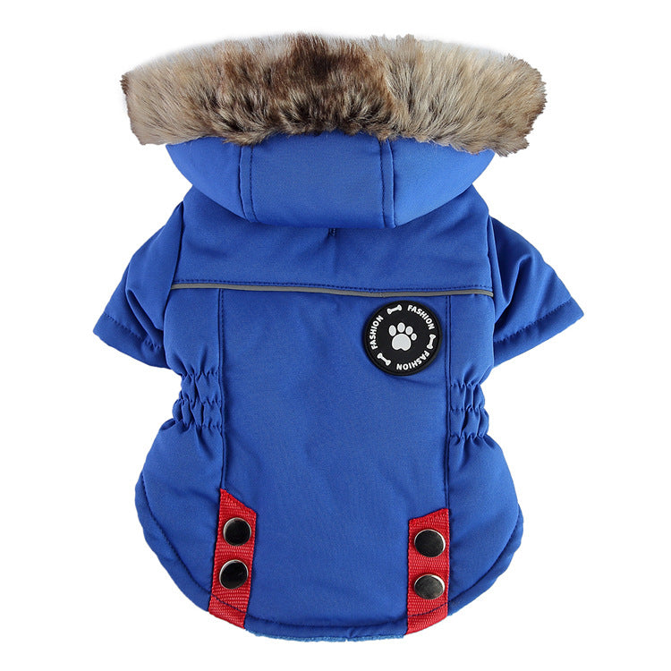 Padded dog chest jacket with zip and reflective straps, in a home setting