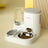 Automatic Pet Feeder and Waterer Bowl