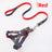 Soft red harness and lead on a small dog