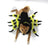 Funny spider Halloween costume for dogs and cats in Spider, material detail