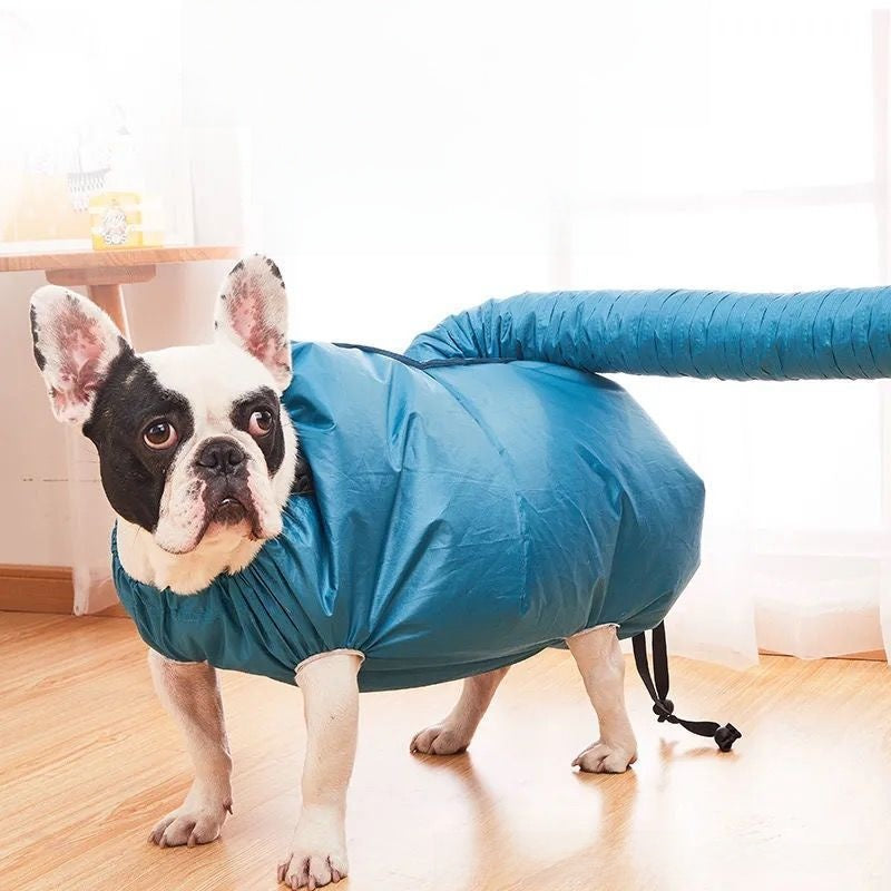 Small dog sitting in a pet drying bag after a bath