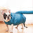 Small dog sitting in a pet drying bag after a bath